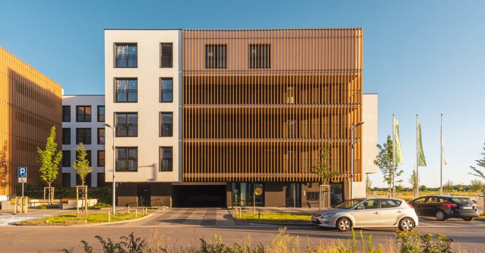 gpi-rosmarino-d07_5559