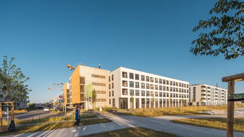 gprosmarino-D07 5551 2